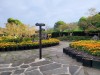 Maze Land - Công viên mê cung, Jeju