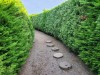 Maze Land - Công viên mê cung, Jeju