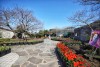Maze Land - Công viên mê cung, Jeju