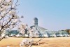 Vườn bách thảo Yeomiji, Jeju