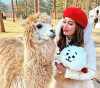 Thưởng thức khung cảnh Chuncheon tại Gubongsan Café Street, thăm Alpaca World và Jade Garden