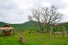 B&U Farm, Phú Yên