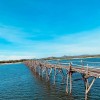 Cầu gỗ Ông Cọp, Phú Yên