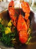 Nhà hàng Crab House Phú Quốc