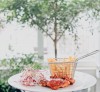 Chuồn Chuồn Bistro & Bar Phú Quốc