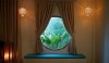 Fiona Spa Phú Quốc