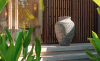 Lua Spa Phú Quốc