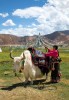 Du Lịch Hành Hương: Ấn Độ - Nepal 2025 | Hành Trình Về Đất Phật 7N6D