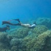 CẮM TRẠI TRÊN ĐẢO HOANG HÒN NƯA 2N1Đ | OUTING TRIP