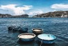 Teambuilding Đà Lạt - Phan Thiết - Phan Rang