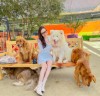 Khám phá các địa điểm hot tại Đà Lạt