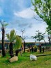 Khám phá các địa điểm mới của Đà Lạt