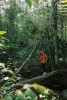 Tour Trekking khám phá The Hidden Waterfall
