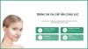 10 MIẾNG DÁN CHỐNG NẮNG HYDROGEL BAREUDA EYE PATCH - Hộp 5 cặp