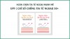 10 MIẾNG DÁN CHỐNG NẮNG HYDROGEL BAREUDA EYE PATCH - Hộp 5 cặp