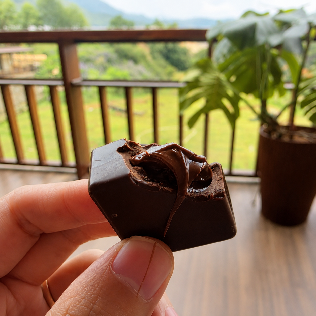Vì Sao Có Socola Tan Ngay Trong Miệng, Có Loại Thì Không?