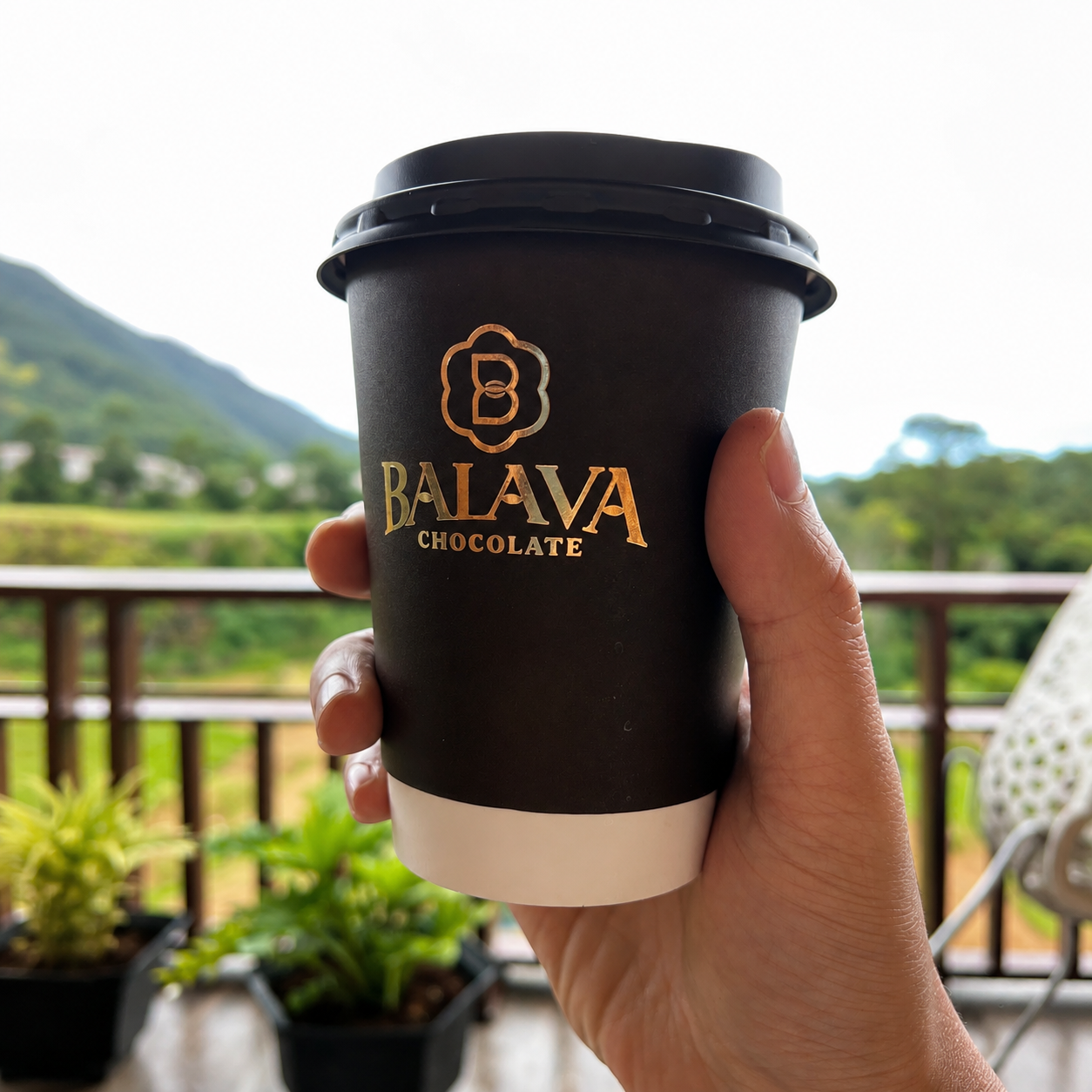 Uống Cacao Có Nóng Không? Và Cacao Thật Sự Tốt Đến Đâu