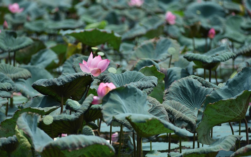 Lăng Hoàng Đế Gia Long, Huế