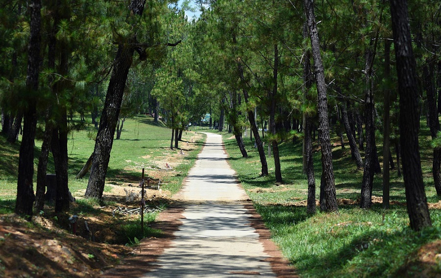 Lăng Hoàng Đế Gia Long, Huế