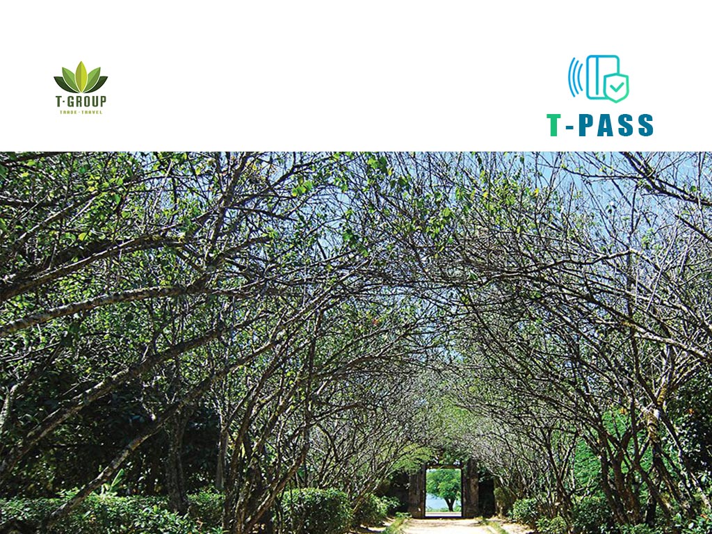 Nhà vườn An Hiên, Huế