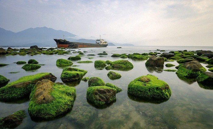 Bãi Rạn Nam Ô, Đà Nẵng