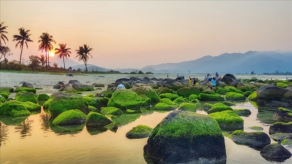 Bãi Rạn Nam Ô, Đà Nẵng