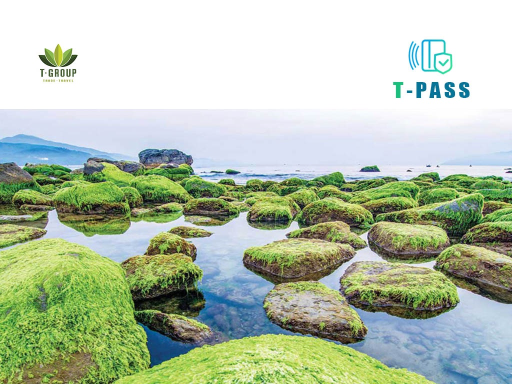 Bãi Rạn Nam Ô, Đà Nẵng