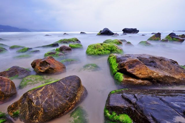 Bãi Rạn Nam Ô, Đà Nẵng