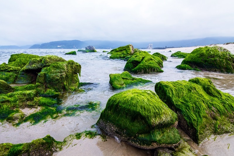Bãi Rạn Nam Ô, Đà Nẵng