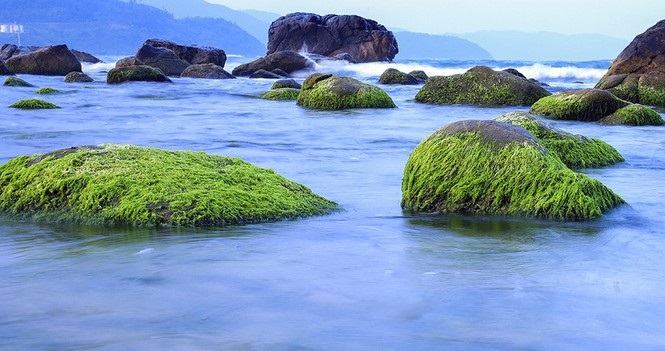 Bãi Rạn Nam Ô, Đà Nẵng