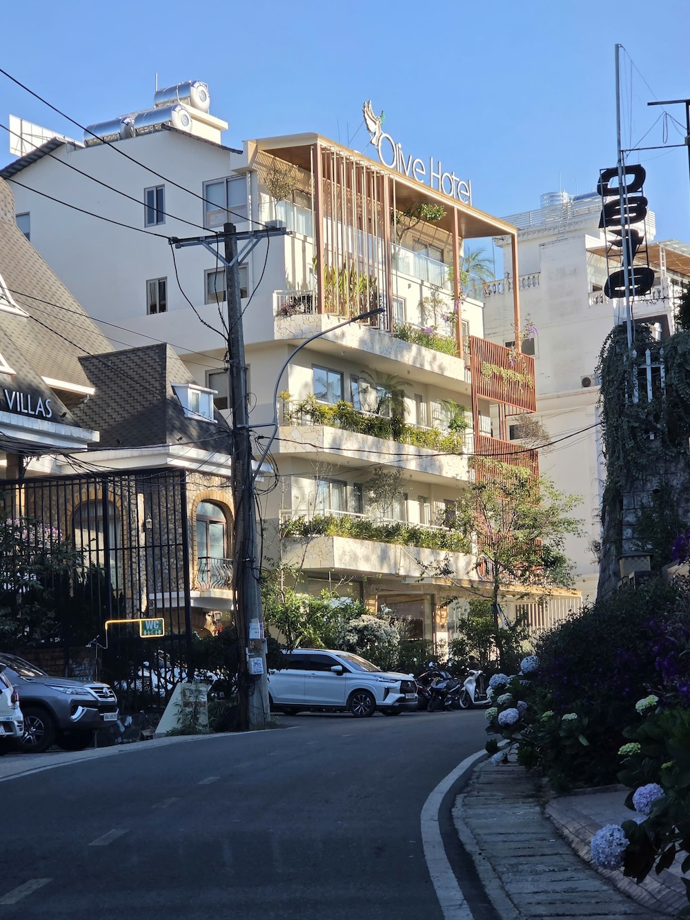 달랏 감성 부티크 호텔 | Olive Hotel – 베트남 고원의 슬로우 스테이