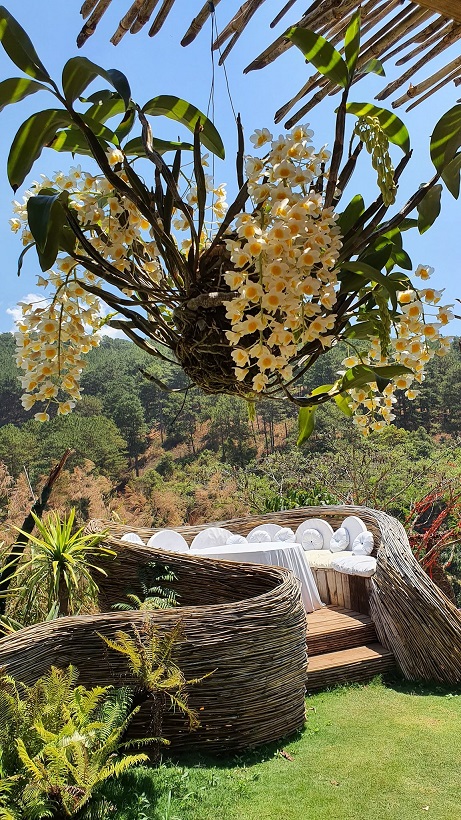 Điểm đến Azulik Hill, Đà Lạt