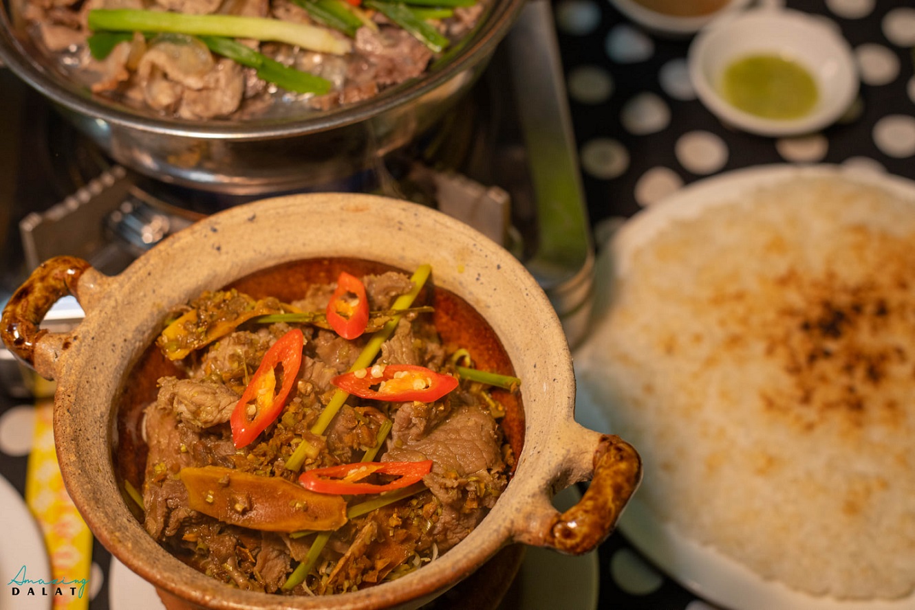 Bò Lạc Lối Đà Lạt