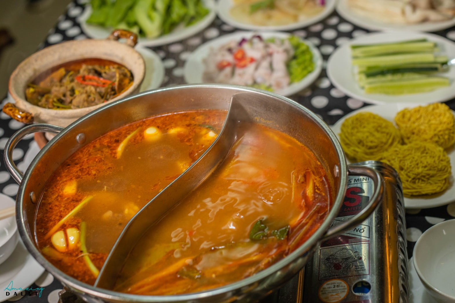 Bò Lạc Lối Đà Lạt