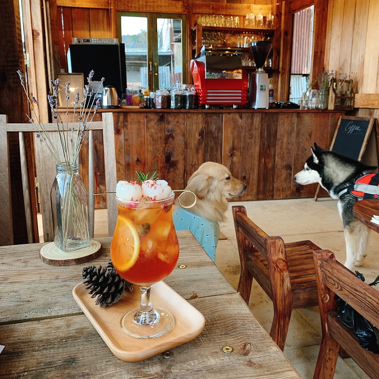 Cabin In The Woods, Đà Lạt