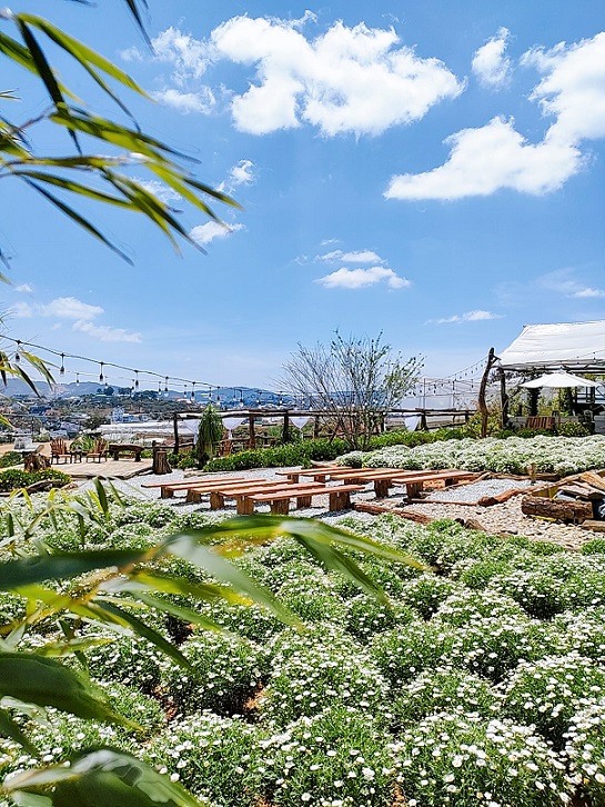 Tiệm Café Người Thương ơi, Đà Lạt