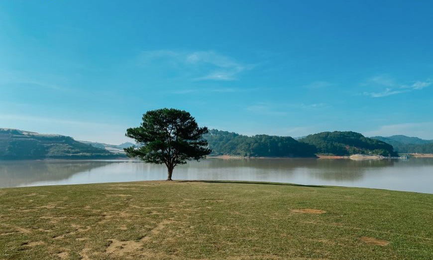 Tour cắm trại tại Cây thông cô đơn
