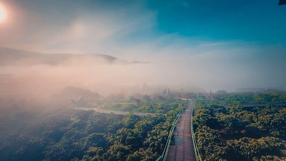 Mê Linh Coffee Garden, Đà Lạt.