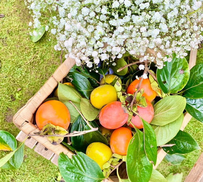 Cầu Đất Garden Coffee Đà Lạt