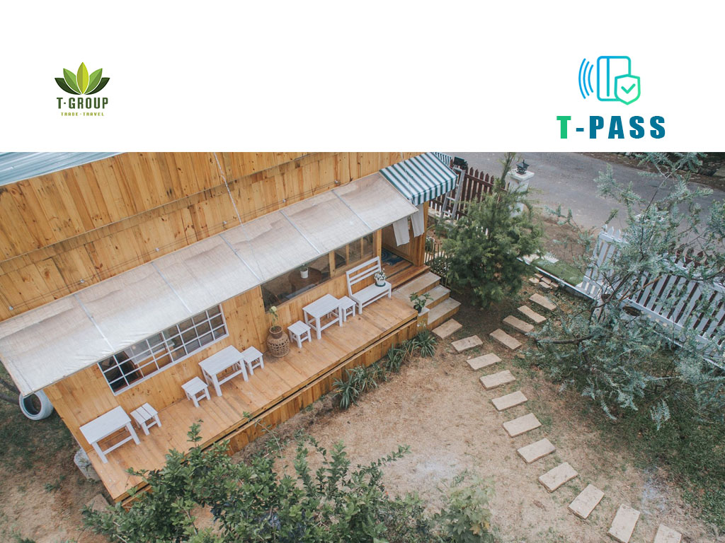 DEER in the forest, Đà Lạt