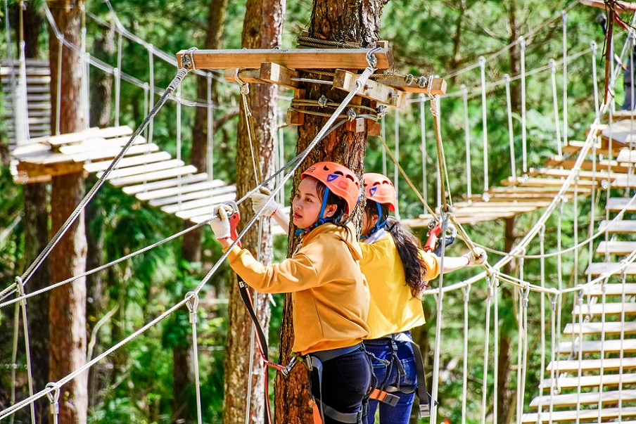 Combo vé Đi bộ trên không và tham quan Thung lũng tình yêu Đà Lạt