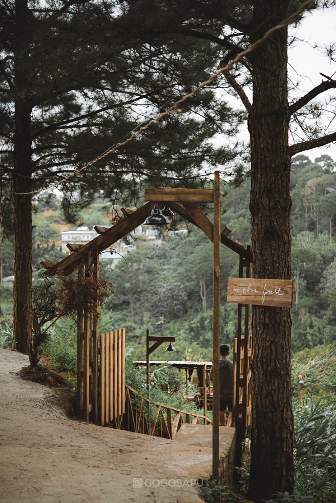 In The Forest Đà Lạt