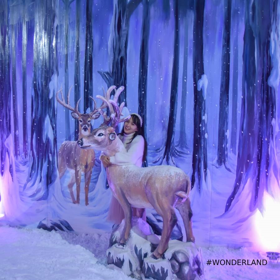 Khu vui chơi Wonder Land - Đà Lạt Wonder Resort