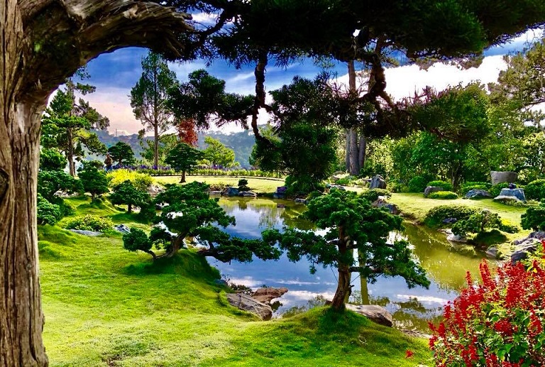 Khu du lịch Lá Phong Đà Lạt