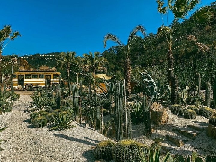 Kombi Land Đà Lạt