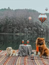 Lạc Tiên Giới Đà Lạt