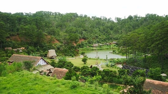 Hướng dẫn viên địa phương