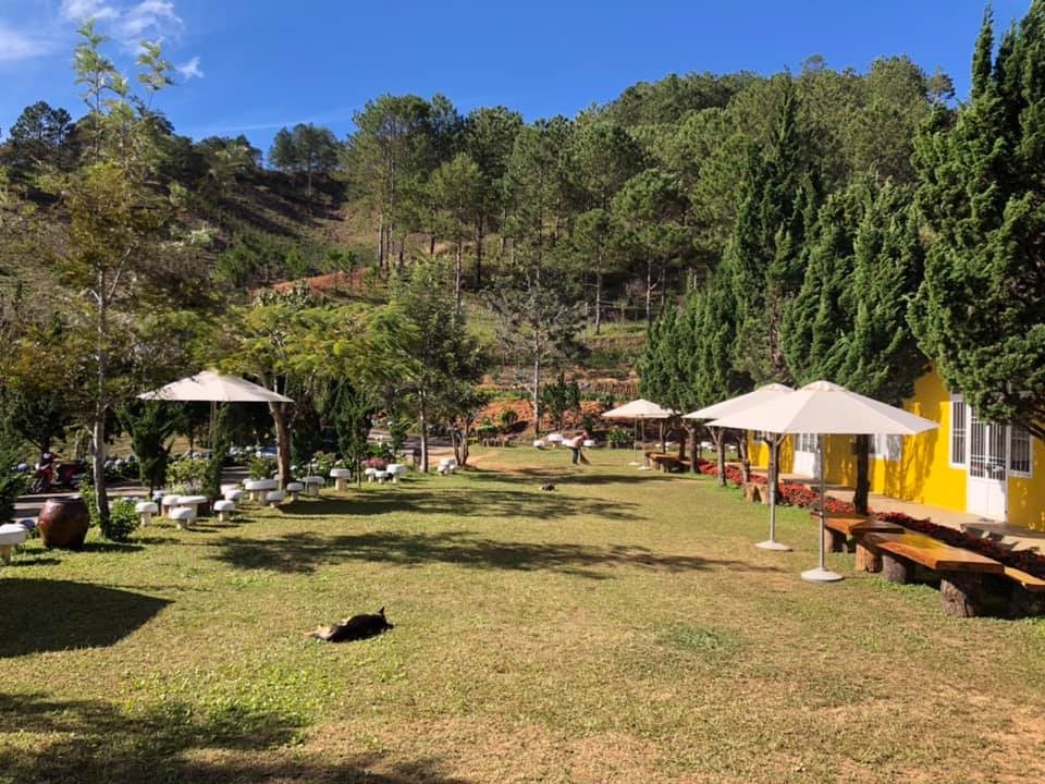 Làng Nấm Đà Lạt