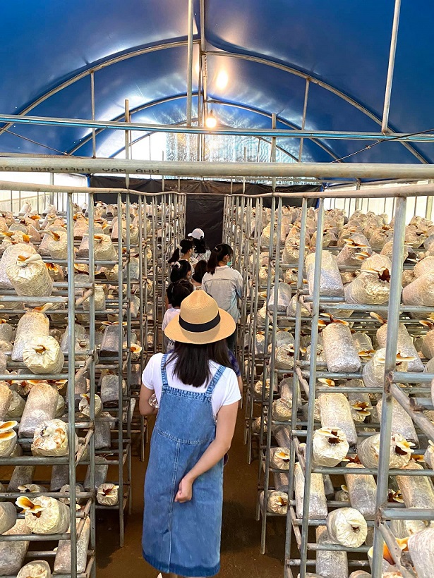 Làng Nấm Đà Lạt