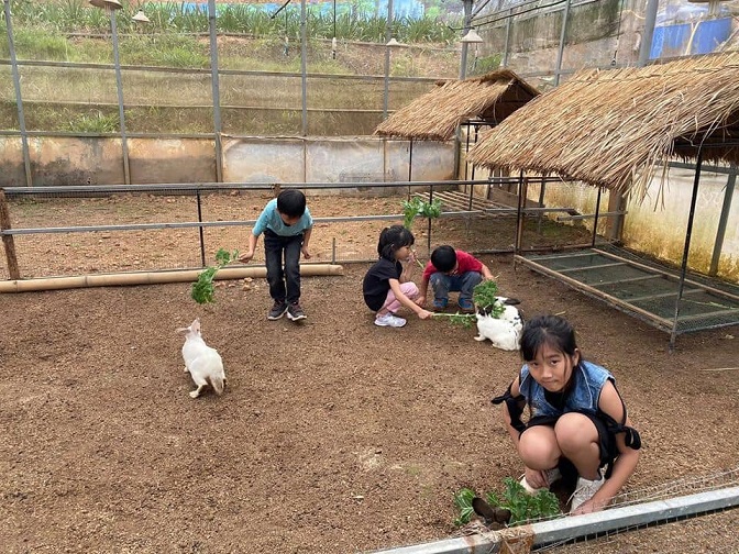 Làng Nấm Đà Lạt